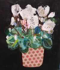 Spots & Cyclamen 