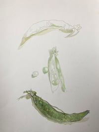 Image 2 of Garden Peas