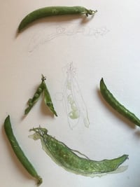 Image 1 of Garden Peas