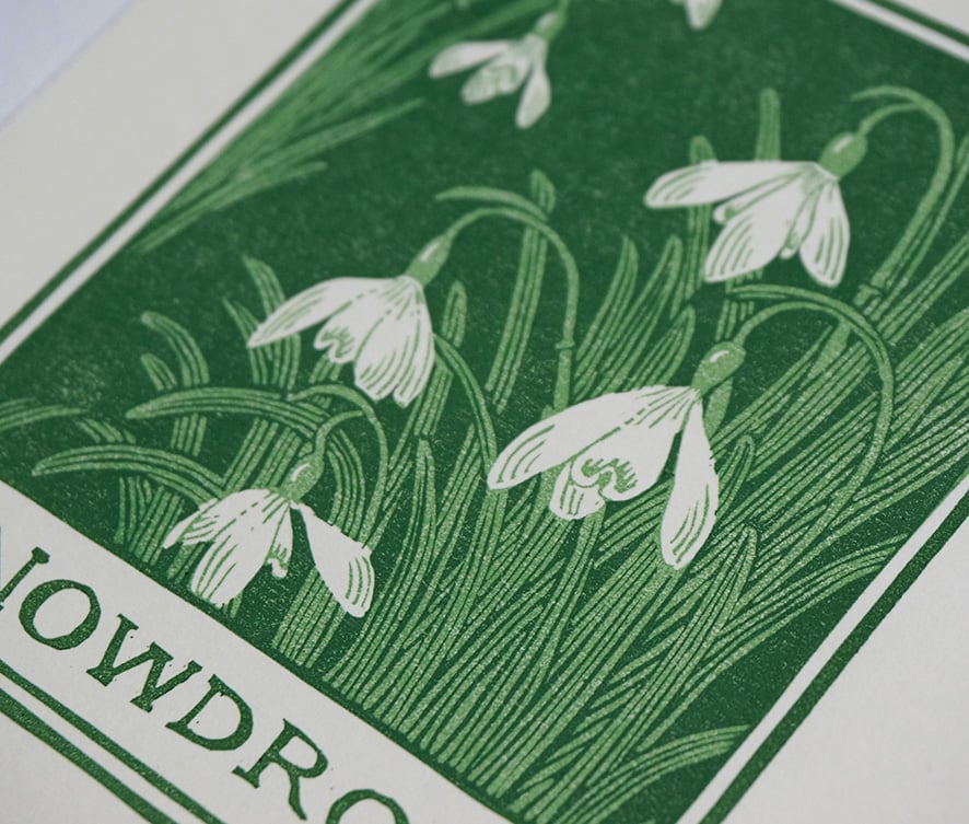 Image of Snowdrops - Linocut