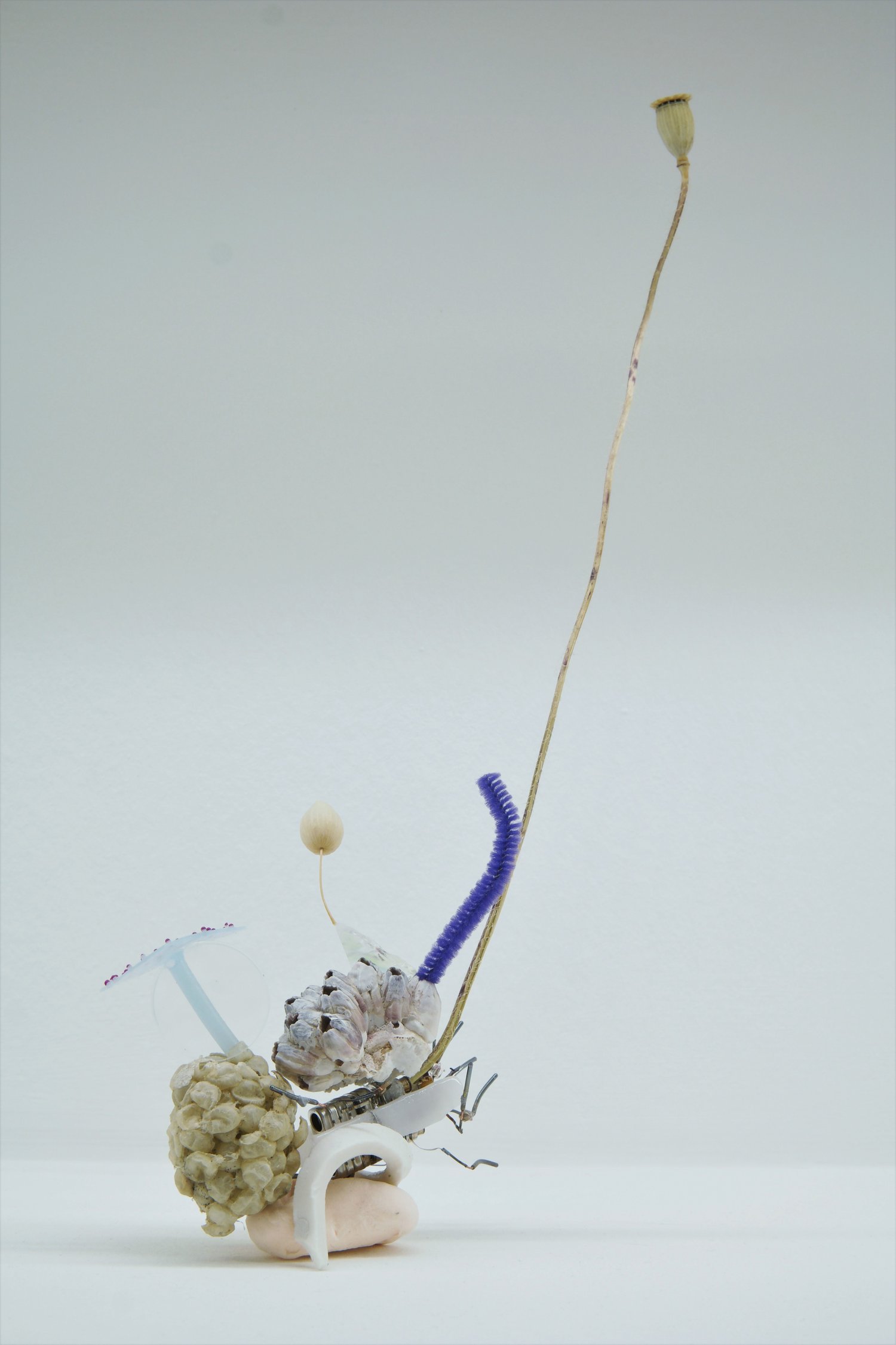 Image of THÉO MASSOULIER "Anthropic combinaisons" 2018-2020