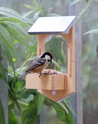 Build Your Own Bird Feeder