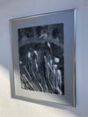 "Palm Leaves" Hahnemühle Fine Art Print/framed 40x50 cm