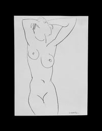 Image 1 of henri matisse / nude / 23/117