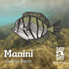 Manini Iron-on patch