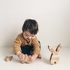 Rabbit