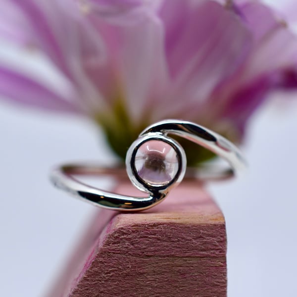 Image of The Sister Ring 
