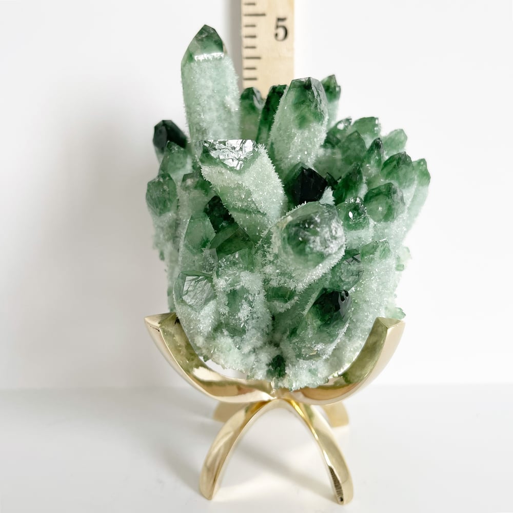 Image of  Green Phantom Quartz Crystal Cluster no.21 + Brass Claw Stand