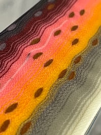 Image 6 of Red Drum by Mikie