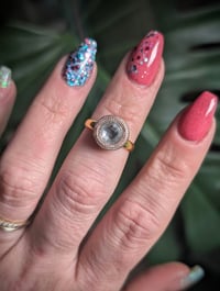 Image 14 of Contrast Glam Collection 