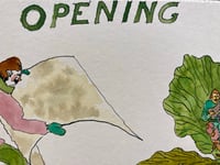 Image 3 of Opening 