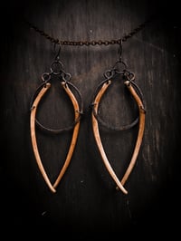 Image 3 of gemini hoops 2