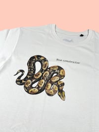 Image 1 of T-shirt CONSTRICTOR