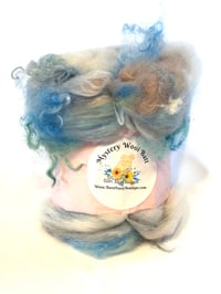 Mystery Wool Batt 3.85oz 🧊