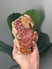 Image 1 of XL SELF STANDING PERFECTLY PINK LAGUNA AGATE
