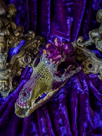 Image 1 of Purple Quartz & Carborundum - Coyote Skull