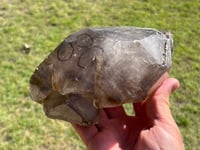 Image 17 of Smoky Quartz Enhydro Multi Terminated Crystal | Zambia #2966 