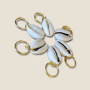 Image 3 of Cowrie Shells