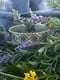 Image of Wildflower Cuff