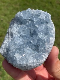 Image 6 of Celestite Cluster Specimen #1790