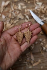 Image 3 of Fern leaf earrings 