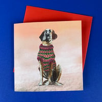 Image 2 of Dogs in Jumpers Luxury Christmas Cards (multipack)