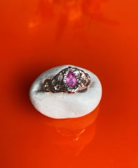 Image 1 of Saphir - Collection Passions