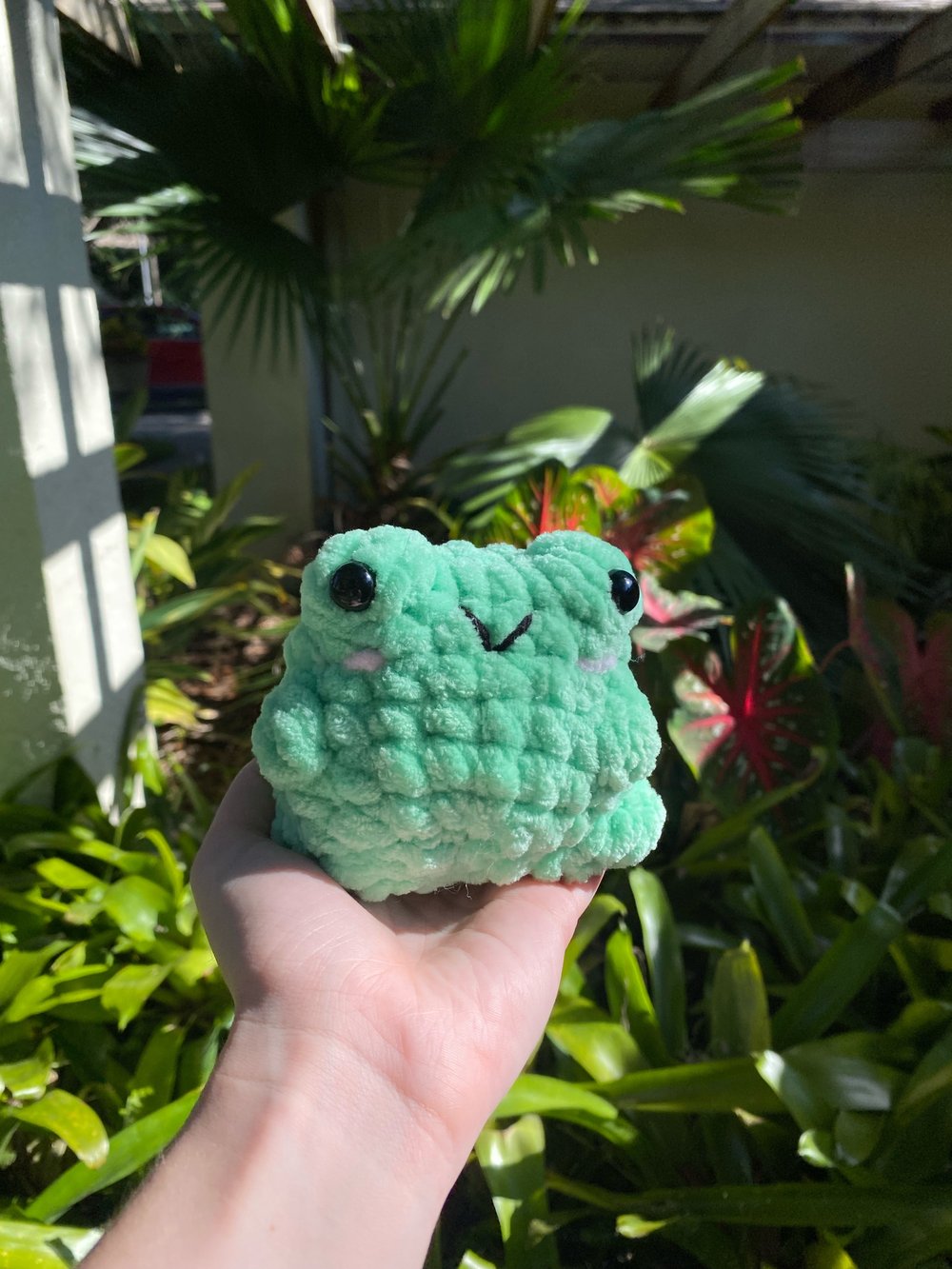 Image of Chubby frog 