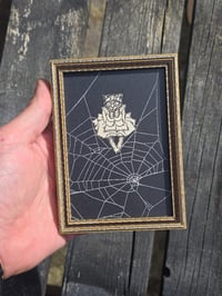 Image 1 of Antique Cat Collection - Cat engravings with real preserved web- M