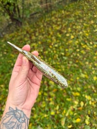 Image 3 of Brook Trout - Mother of Pearl