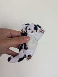 Image 5 of Domino 