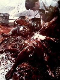 Image 12 of A Rite of Passage: Early Years of Vienna Actionism 1960-1966