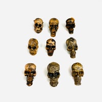 Image 1 of Skulls