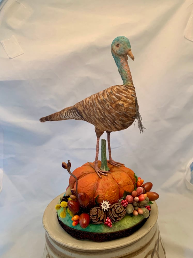 Image of Turkey Hen figure 3