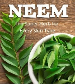NEEMLY YOURS! Powder/Leaves/Teabags. Diabetes-Fungi-Viruses-Parasites-Allergies-Infections.