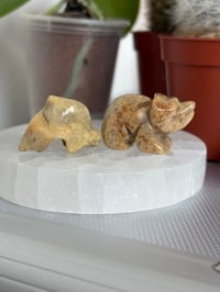 Image 3 of Crazy Lace Agate Carvings