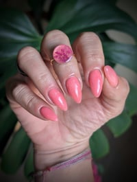 Image 3 of Desert Rose Pearl
