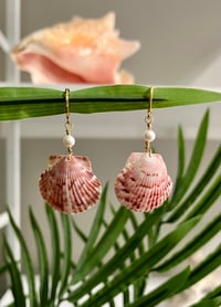 Image 1 of Pink Scallop Earrings E128