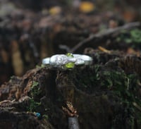 Image 1 of Peridot Portal