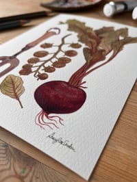 Image 2 of Beetroot Fine Art Print