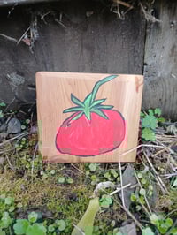 Image 7 of Red Tomato 