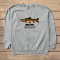 Image 1 of Brook Trout Crewneck