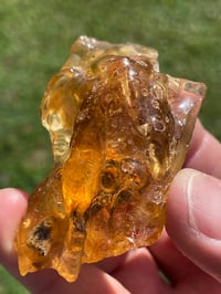 Image 6 of Amber Specimen #1944