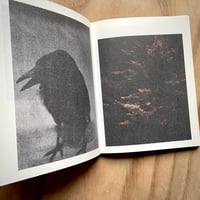 Image 7 of François Jonquet - Forage