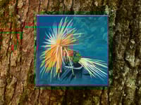 Image 4 of Flies (Options)