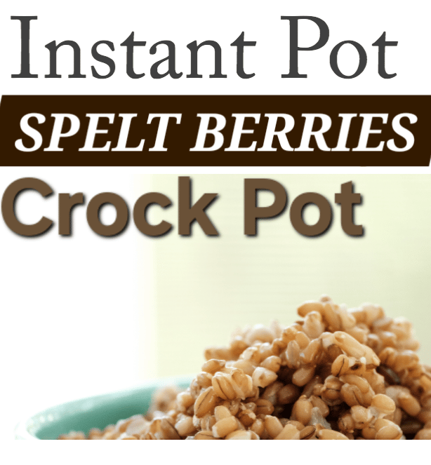 ANCIENT WHEAT 42! Naked European Quick Cook Spelt Berries (Rice-Pilaf/Hot Cereal) Diabetes-Bones.