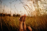 Cyber Monday Gift Certificate 