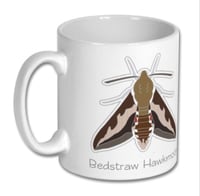 Image 4 of Bedstraw Hawk-moth - No.1 - Hawk-moths Series