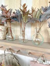 Dottie Bud Vases ( Set of 3 )