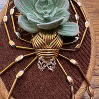 Image 2 of Succulent spider (f, 4x5 inches)